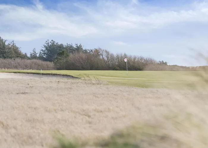 度假居 Coxy Overlooking The Golf Course At Sondervig - 1019